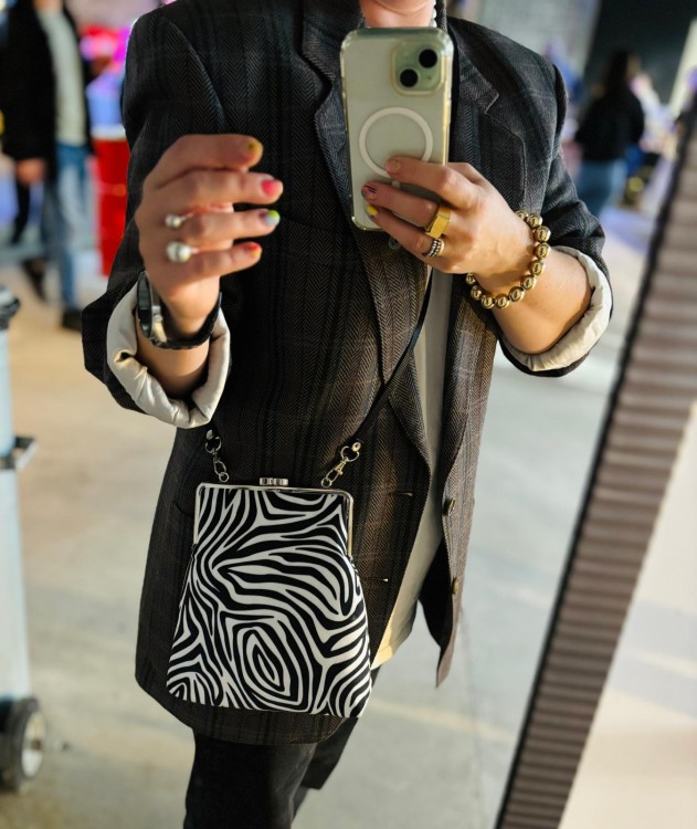 zebra sylwetka 1.jpeg