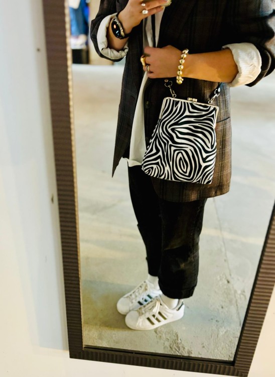 zebra sylwetka 2.jpeg